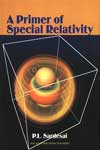 NewAge A Primer of Special Relativity